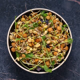 SPROUT CHAAT