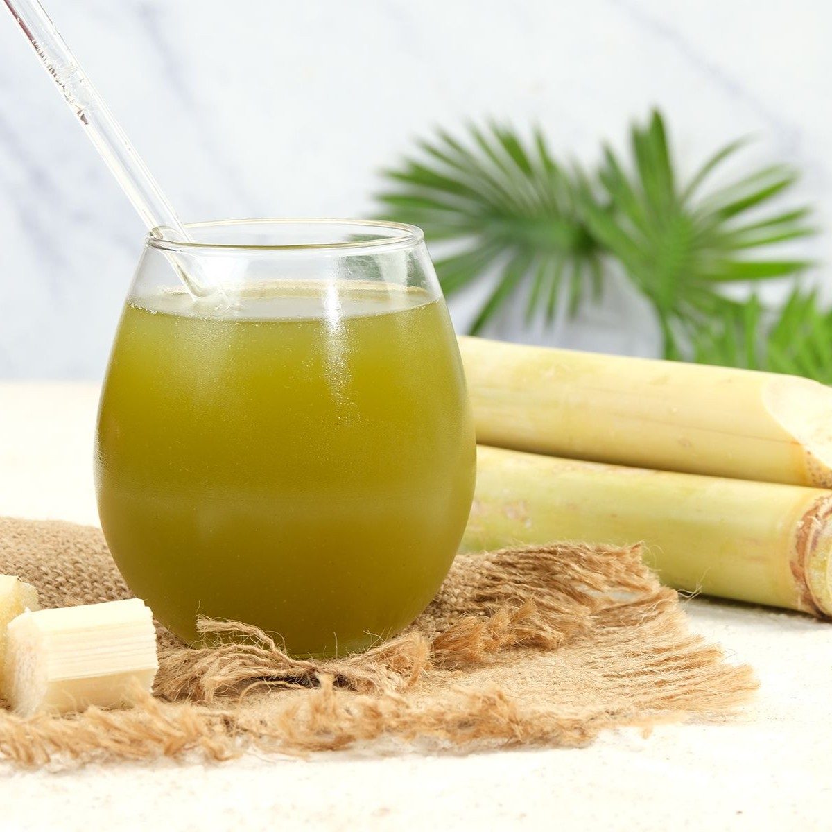 SUGARCANE.